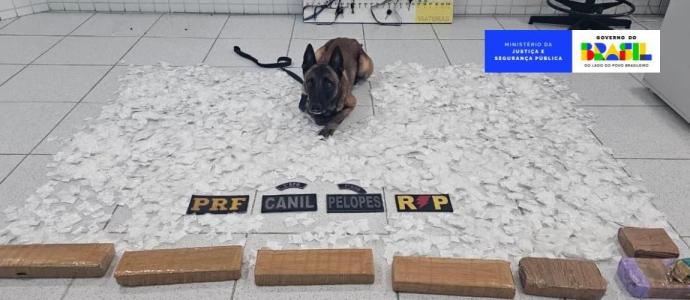 Operação nacional focou na apreensão de drogas e armas