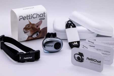 Empresa chinesa desenvolve coleira com IA capaz de 'traduzir' reações de pets