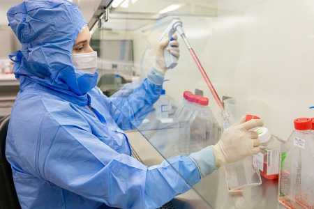 Estudo usa células-tronco contra complicações do transplante de medula