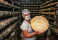 São Paulo cria Dia Estadual do Queijo Artesanal e Autoral