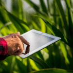 Agro brasileiro avança na transformação digital, mas enfrenta desafios