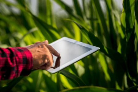 Agro brasileiro avança na transformação digital, mas enfrenta desafios