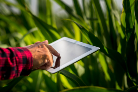 Tecnologia no campo aumenta produtividade e sustentabilidade