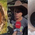 Tutor de égua revela como animal caiu em tubulação da Copasa e deixou BH sem água