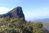 Ubatuba: trilha do Pico do Corcovado é reaberta com novas opções de monitoria