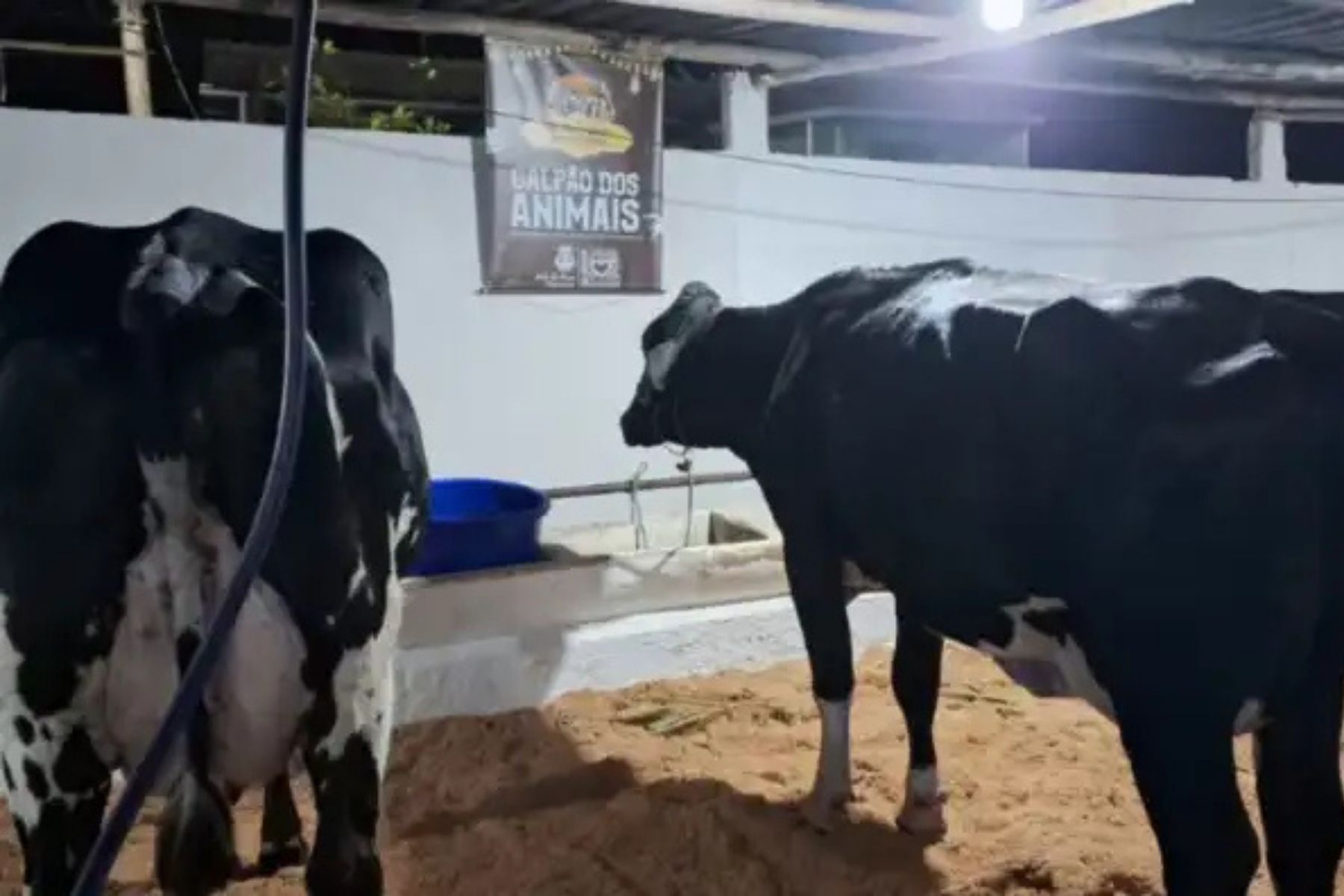 Circuito de Eventos Agropecuários 2026 inicia calendário em junho em Juiz de Fora