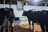 Circuito de Eventos Agropecuários 2026 inicia calendário em junho em Juiz de Fora