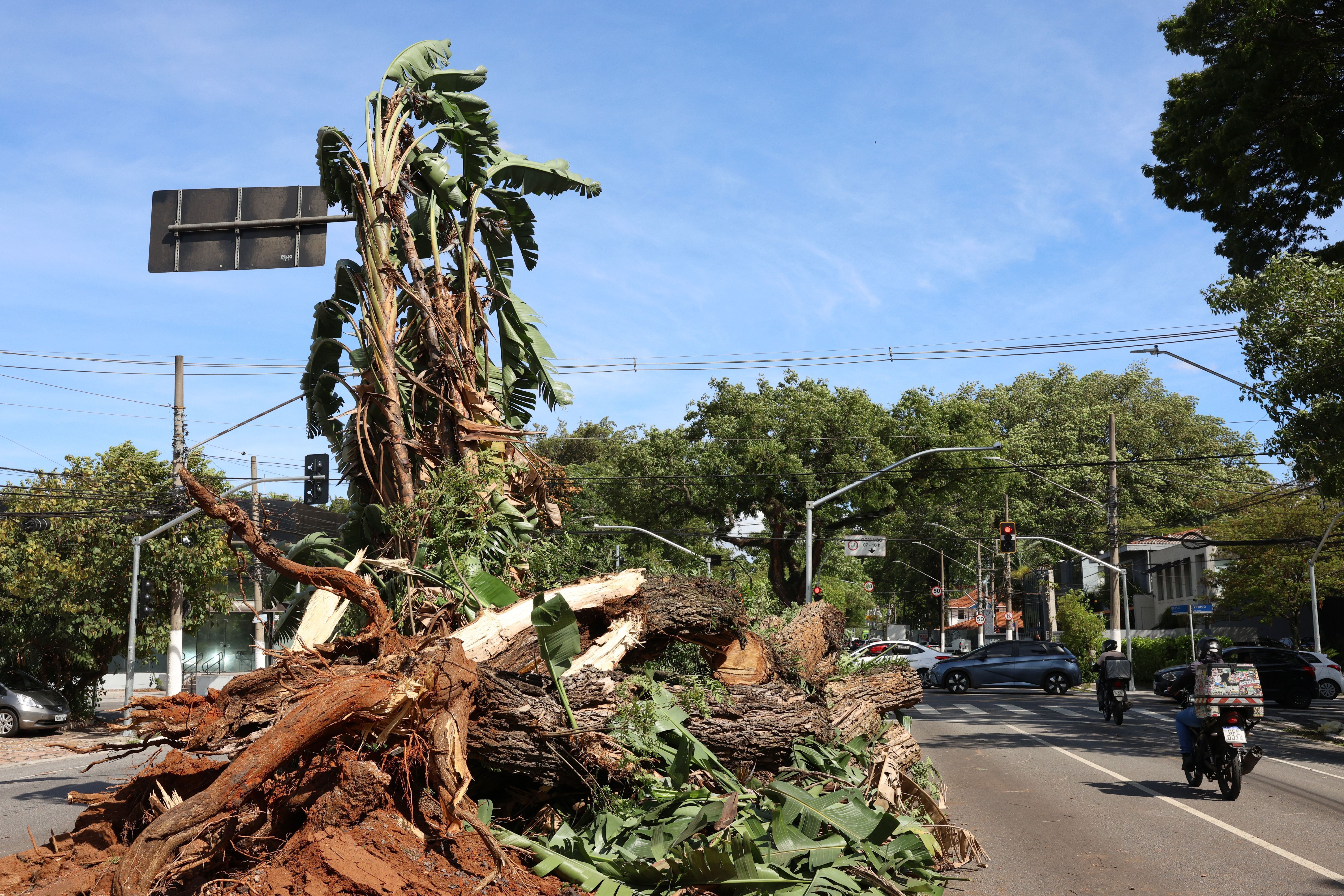 Vendaval ameaça mais de 550 cidades de SP nas próximas horas; lista