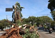 Vendaval ameaça mais de 550 cidades de SP nas próximas horas; lista