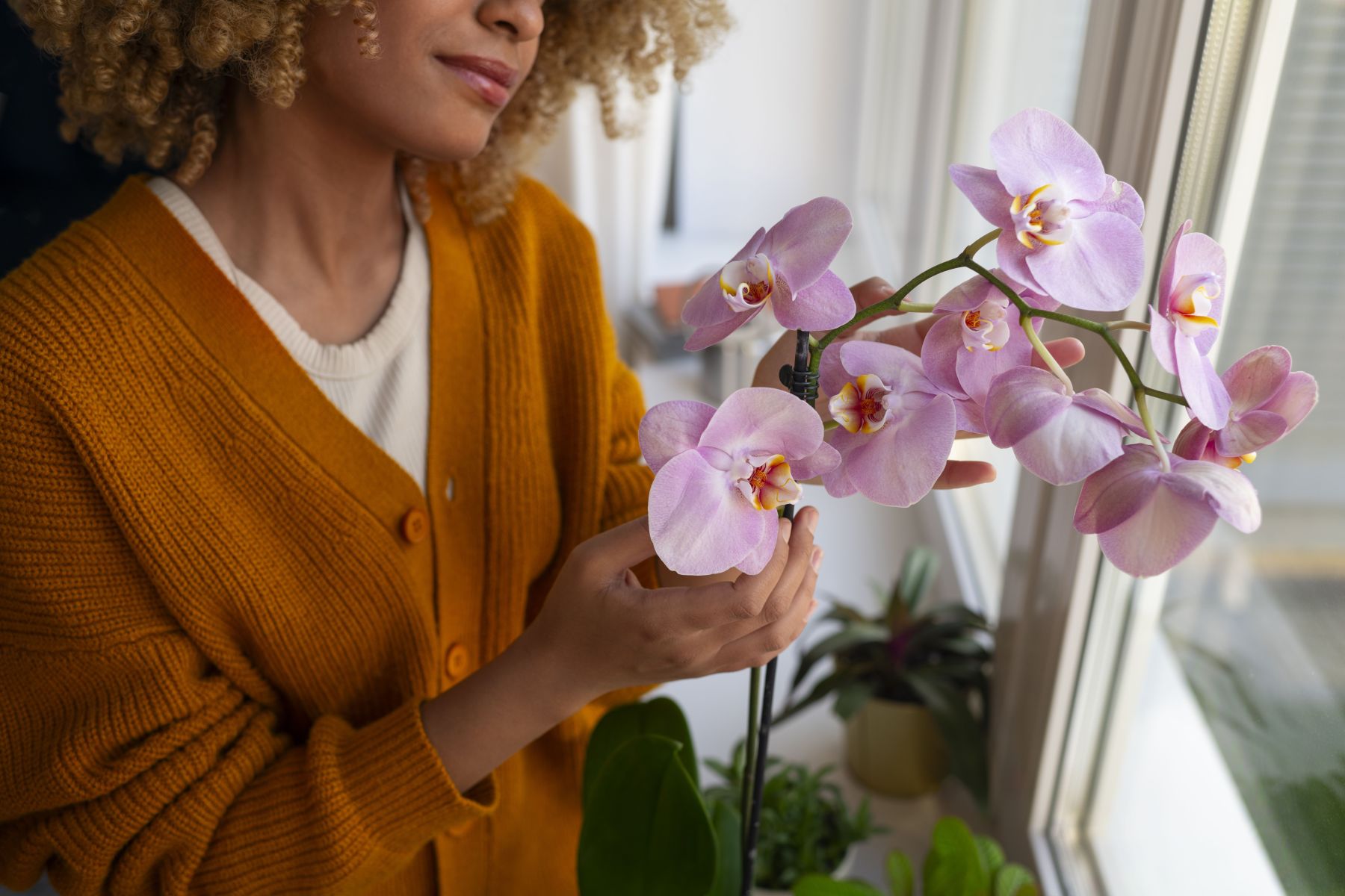 Você tem um fertilizante poderoso em casa para plantar orquídeas e nem sabia: entenda como usar