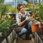 Conheça 5 árvores frutíferas que podem ser cultivadas em vasos