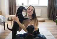 Cães agitados quando tutor chega em casa não são necessariamente felizes, afirmam veterinários