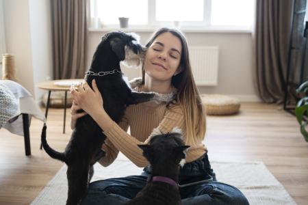 Agitação em cães pode ser sinal de ansiedade