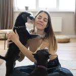 Cães agitados quando tutor chega em casa não são necessariamente felizes, afirmam veterinários