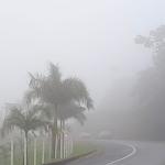 Concessionária mapeia 195 pontos com neblina no Sul de Minas