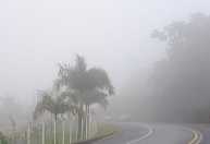 Concessionária mapeia 195 pontos com neblina no Sul de Minas