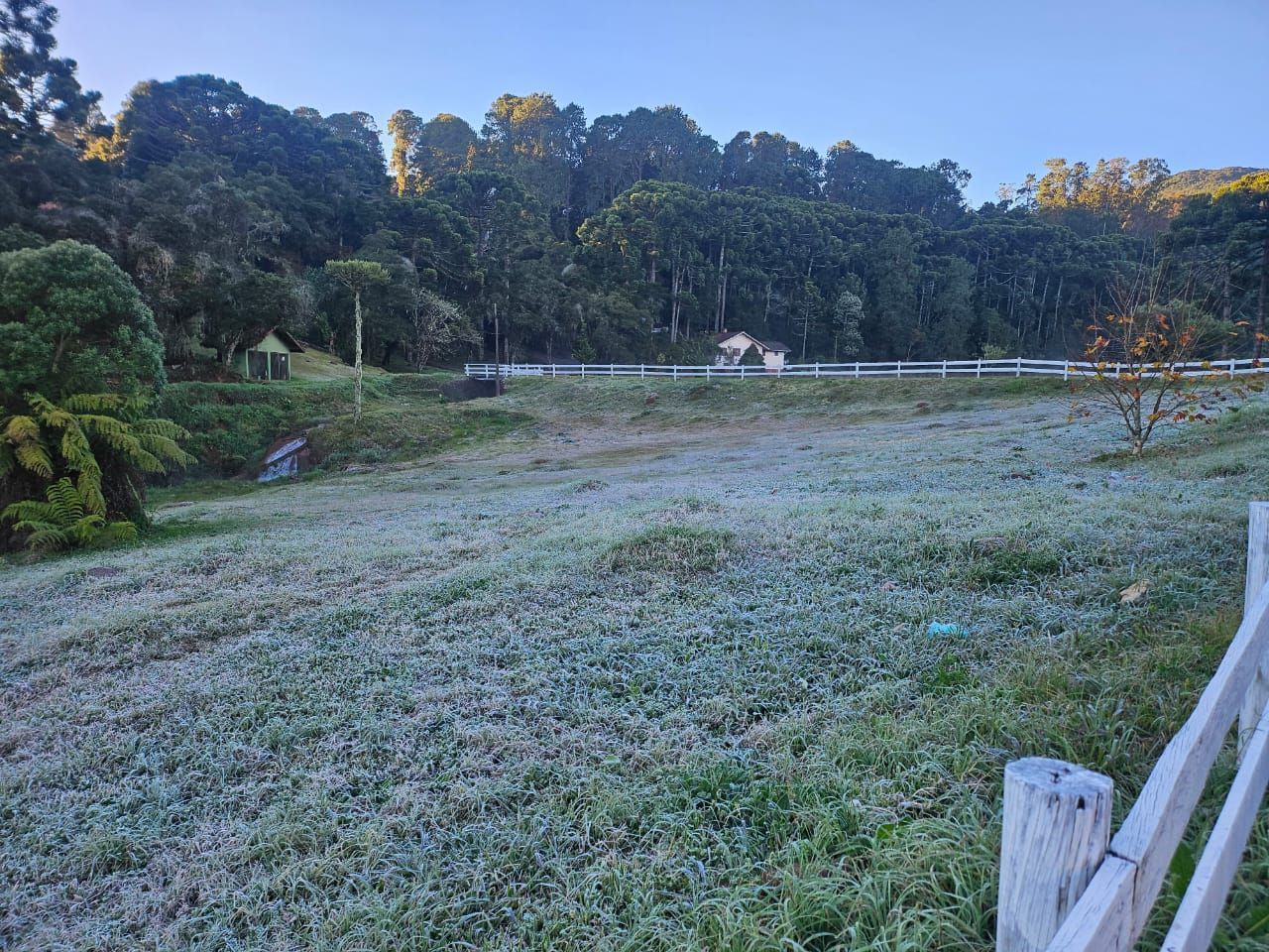 Monte Verde registra geada e temperatura próxima de 0°C