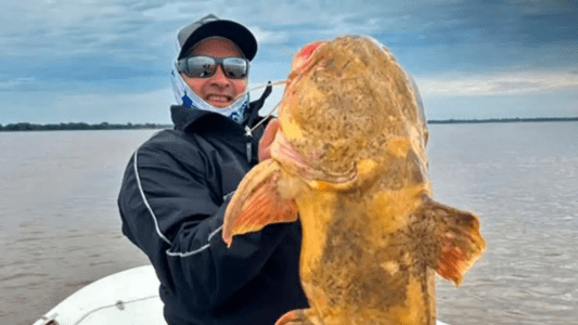 Pescador captura peixe manguruyú de 20 quilos