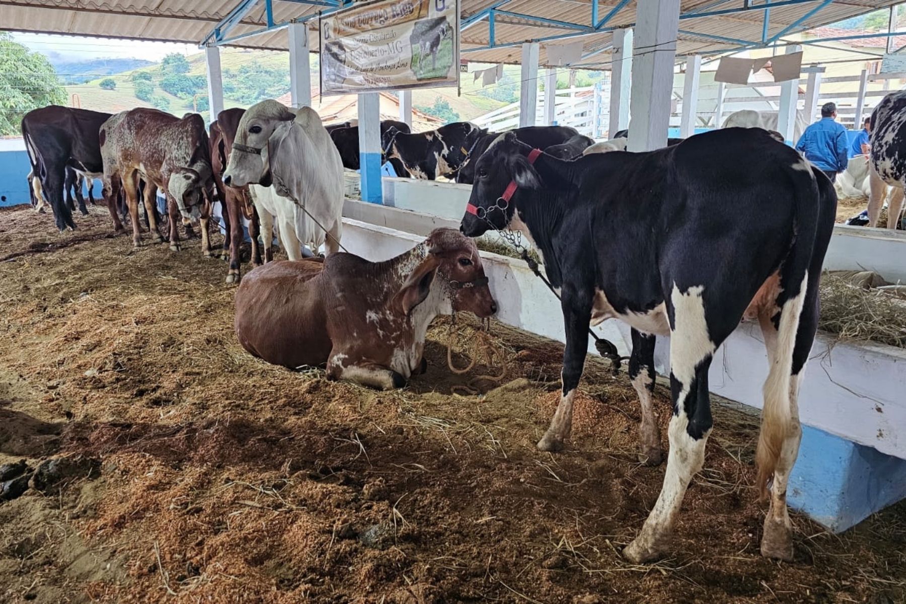 1ª Feira do Agronegócio movimenta São João Nepomuceno (MG)
