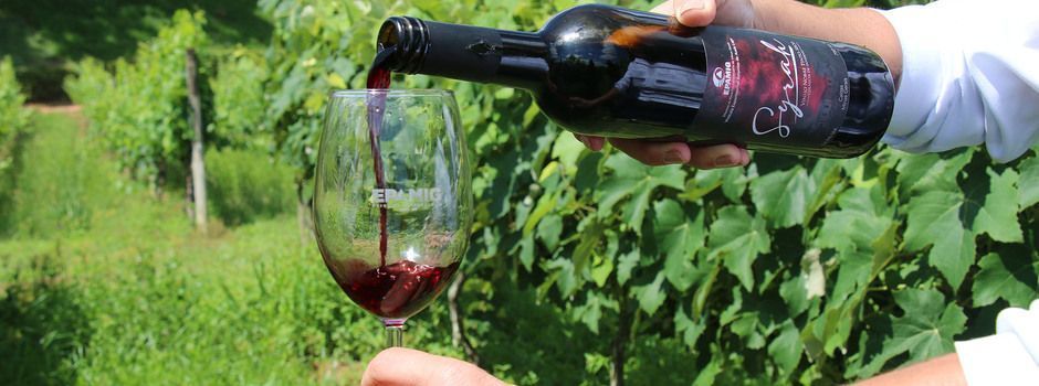 Vinhos de colheita de inverno dão recorde de medalhas ao Brasil