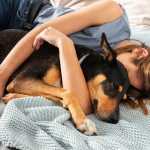 Dormir com cães e gatos na cama faz bem? Veja vantagens emocionais e riscos à saúde