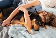 Dormir com cães e gatos na cama faz bem? Veja vantagens emocionais e riscos à saúde