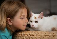 Psicólogos revelam: o vínculo com gatos ajuda a regular emoções instáveis