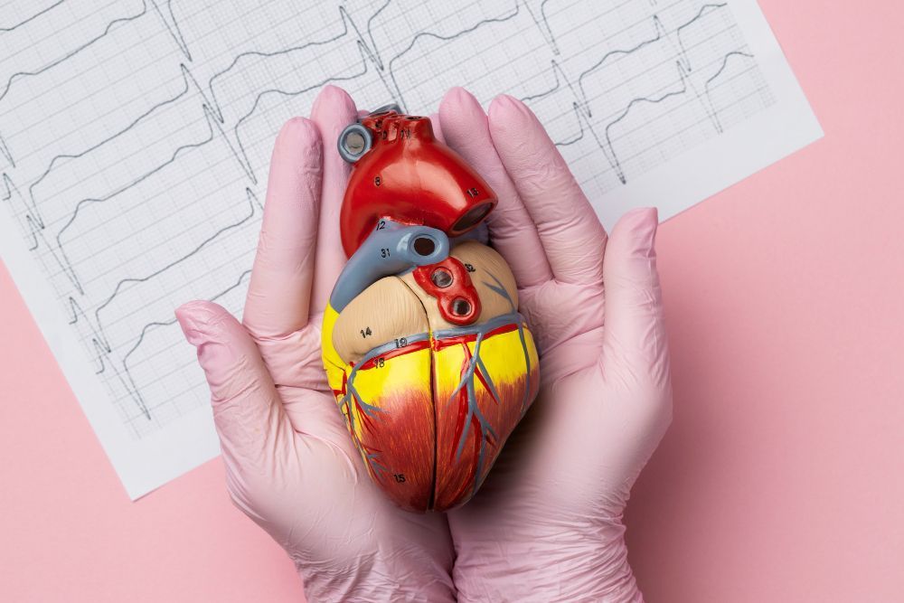 Colesterol alto: os hábitos e alimentos que você deve eliminar para proteger o coração