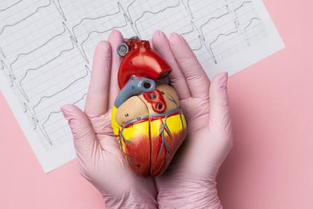 coracao colesterol infarto