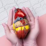 Síndrome cardiorrenal-metabólica: médico explica o que é e como identificar