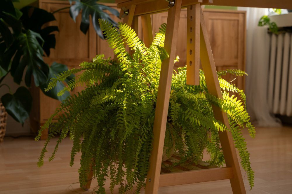 Como fazer uma planta artificial parecer natural e transformar a decoração da casa