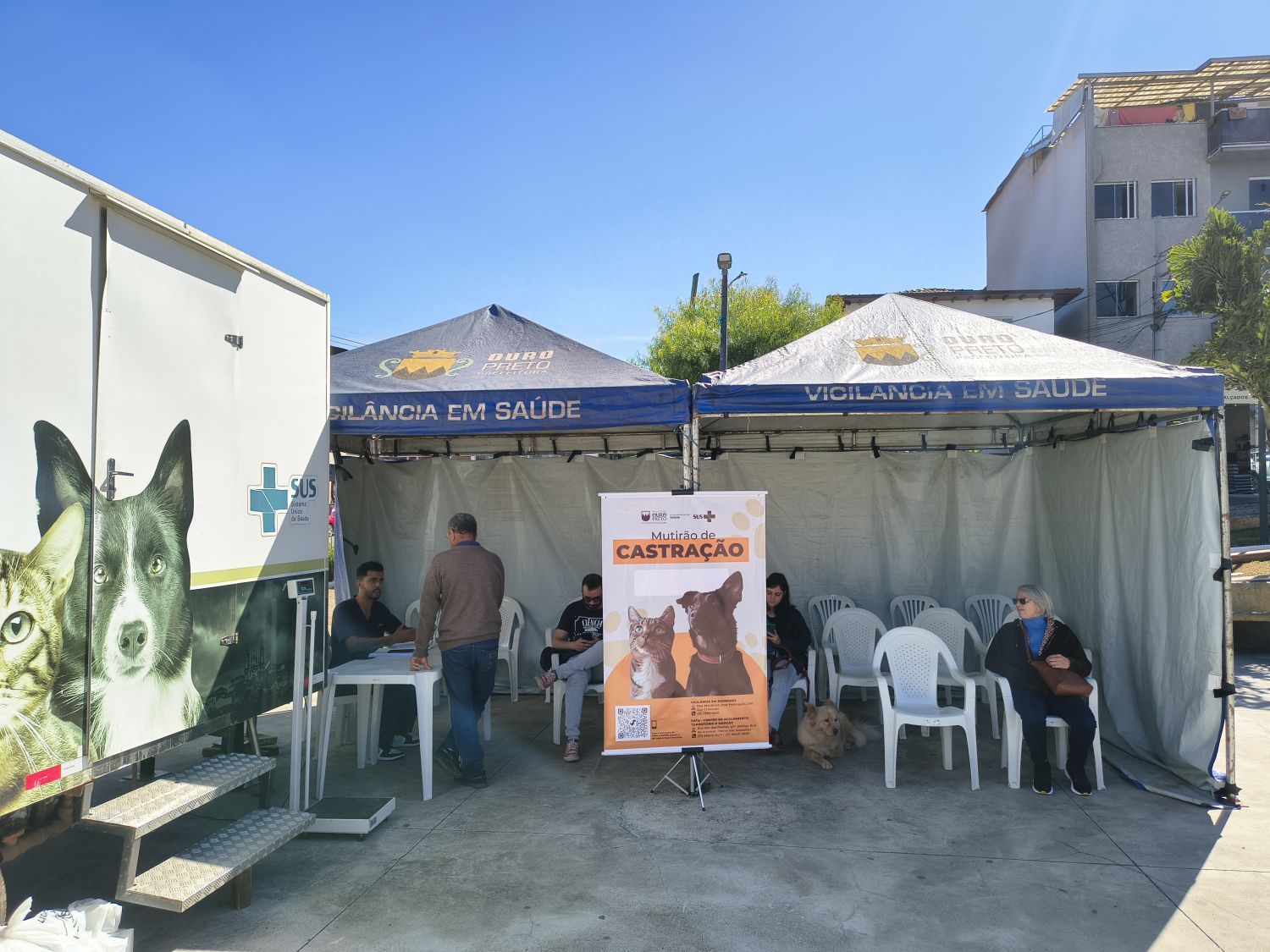 Após atendimentos na Bauxita, inscrições para mutirão de castração seguem abertas