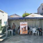 Após atendimentos na Bauxita, inscrições para mutirão de castração seguem abertas