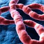 RS registra caso suspeito de Ebola em homem que esteve em Uganda