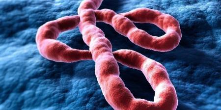 Vírus do Ebola