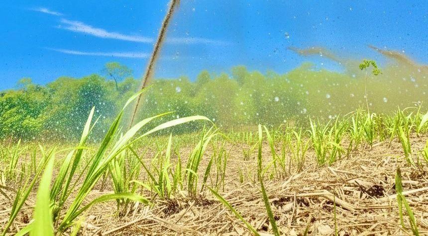 El Niño reforça necessidade de adaptação climática no campo