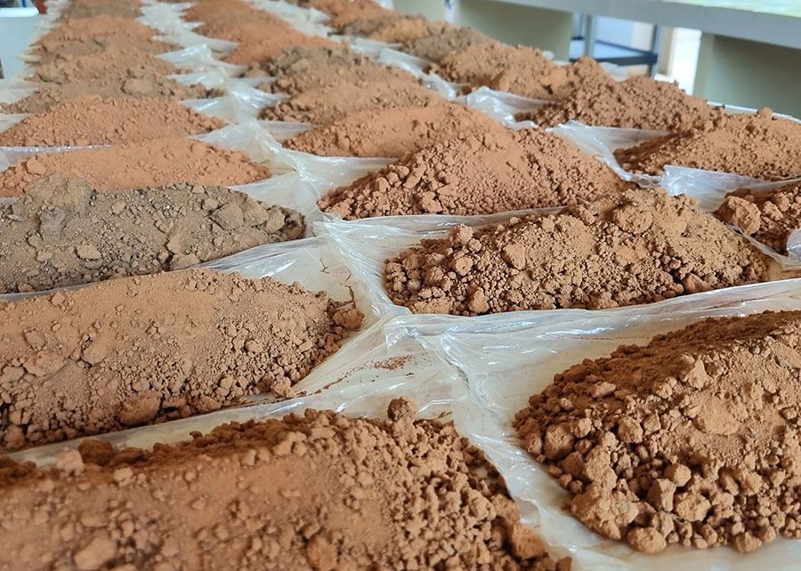Embrapa desenvolve modelo inédito para medir captura de carbono na agricultura tropical