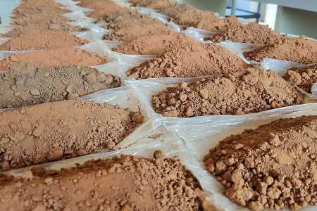 Embrapa desenvolve modelo inédito para medir captura de carbono na agricultura tropical