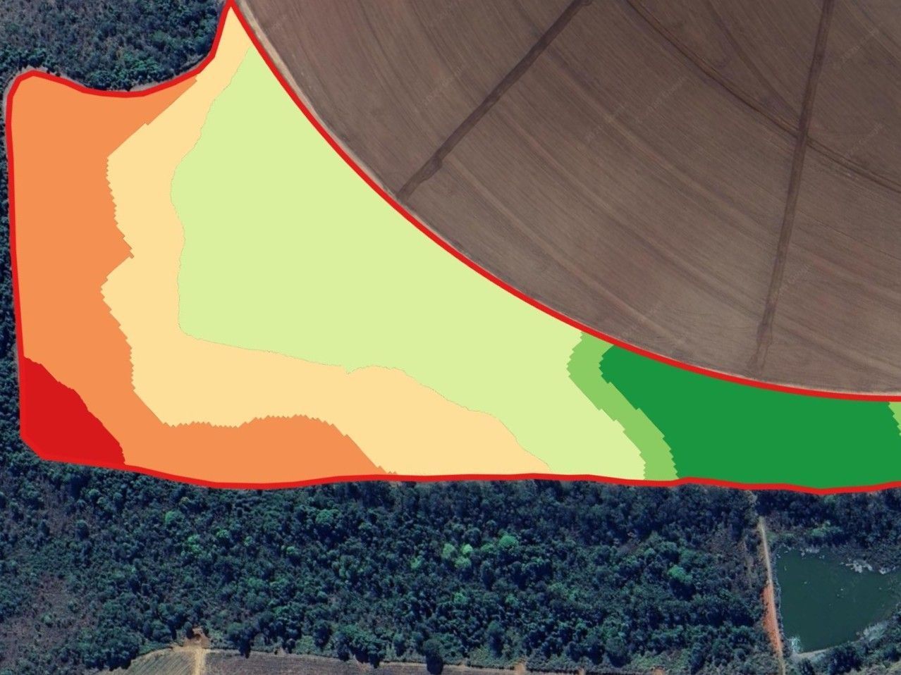 A IA já é bem presente no campo em Minas Gerais