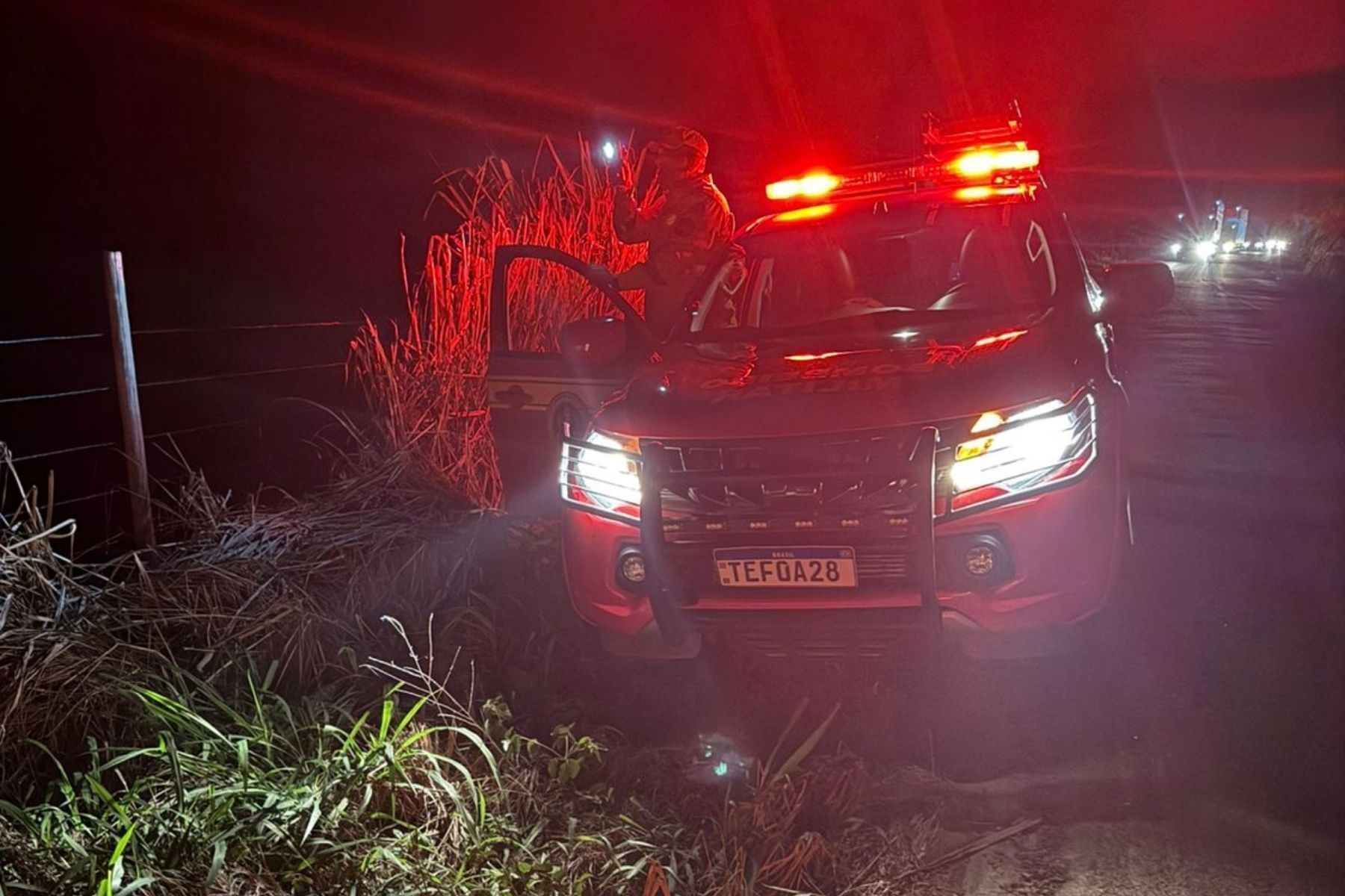 Bombeiros capturam jaguatirica após animal ser atropelado na MG-353 em Piau