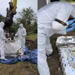Médica é presa após 34 fetos serem encontrados enterrados em jardim da antiga casa dela