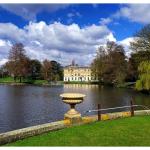 Cientista brasileiro lidera maior projeto de digitalização da história do Kew Gardens