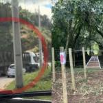 Ponte de 20 metros que havia desaparecido em MG é encontrada em fazenda