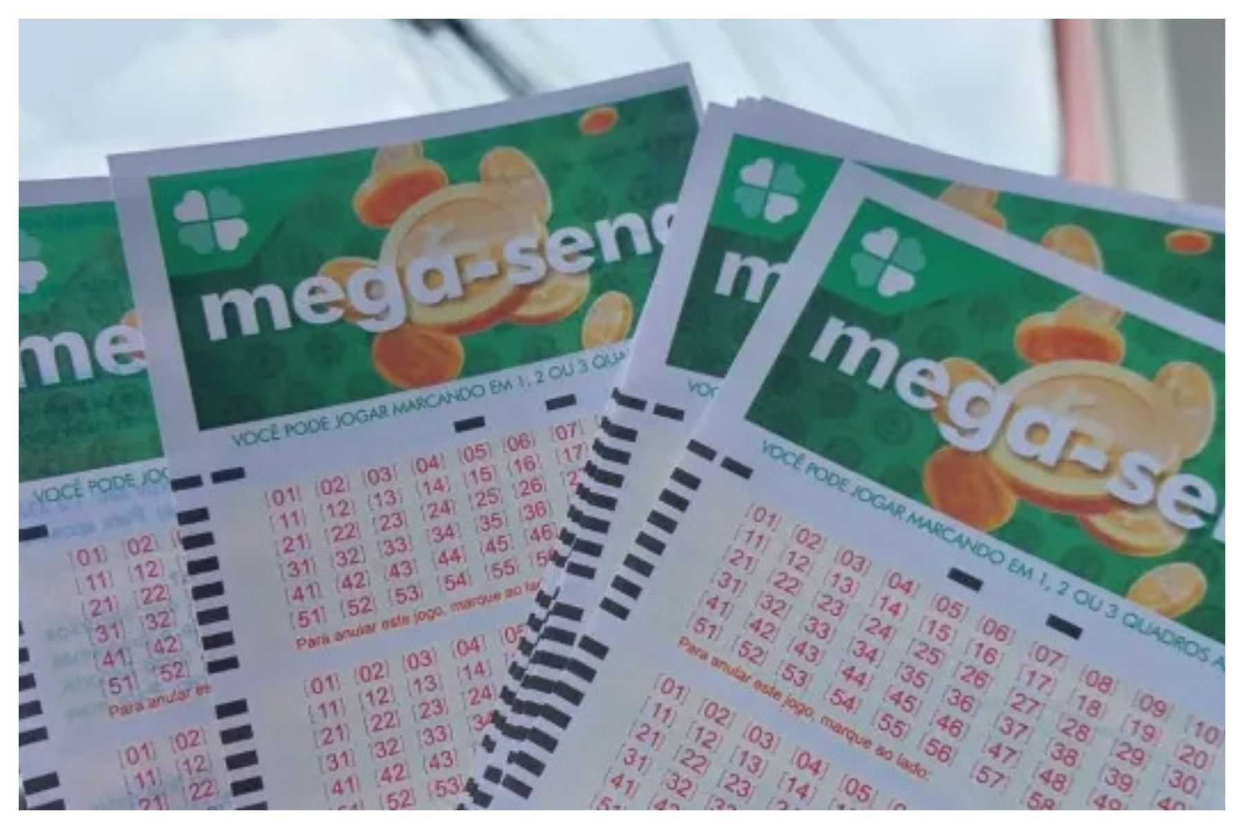Resultado Mega-Sena 3016: veja números sorteados; prêmio é de R$ 3,5 milhões