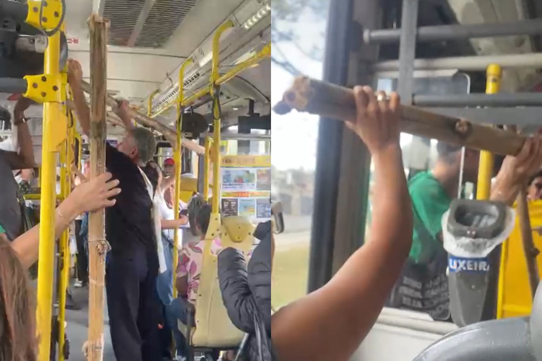 Jovem transporta bambus gigantes em ônibus do Move e causa atraso em Belo Horizonte