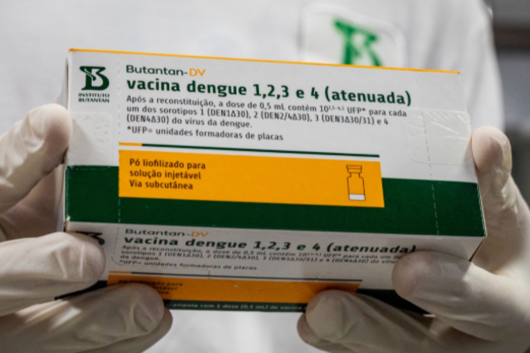 Suspensão de vacina contra a dengue supera outros destaques entre os Trends do Google em junho