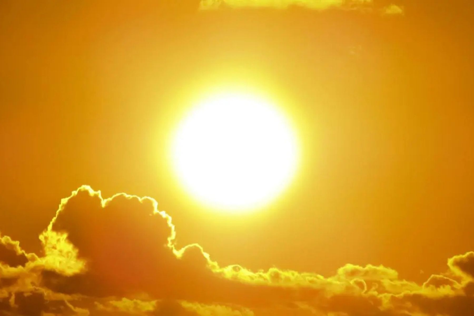 Brasil teve 120 mil mortes associadas a ondas de calor em 20 anos, dizem Fiocruz e UFBA