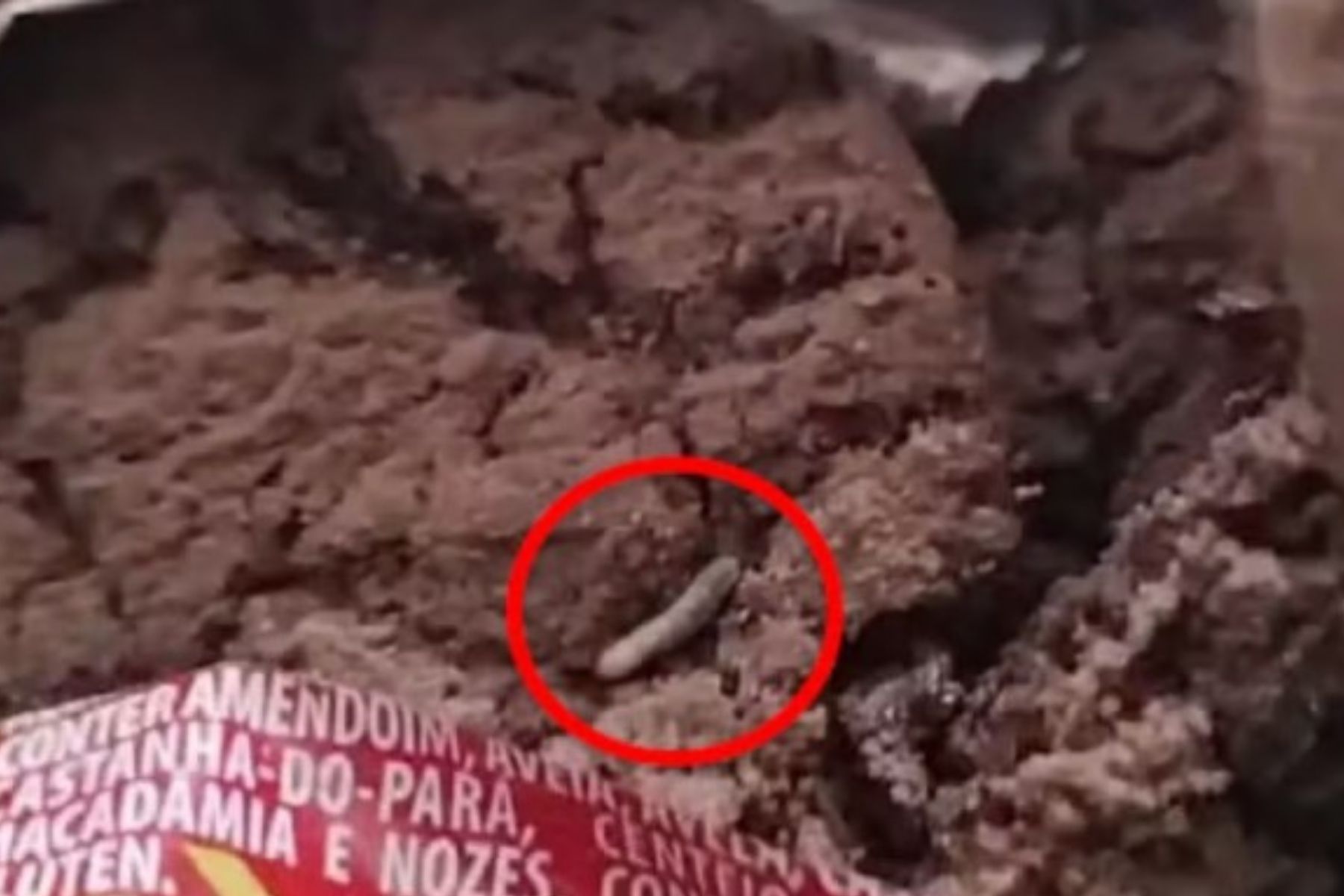 Justiça condena fabricante de biscoitos após criança achar larvas em cookies no interior de SP