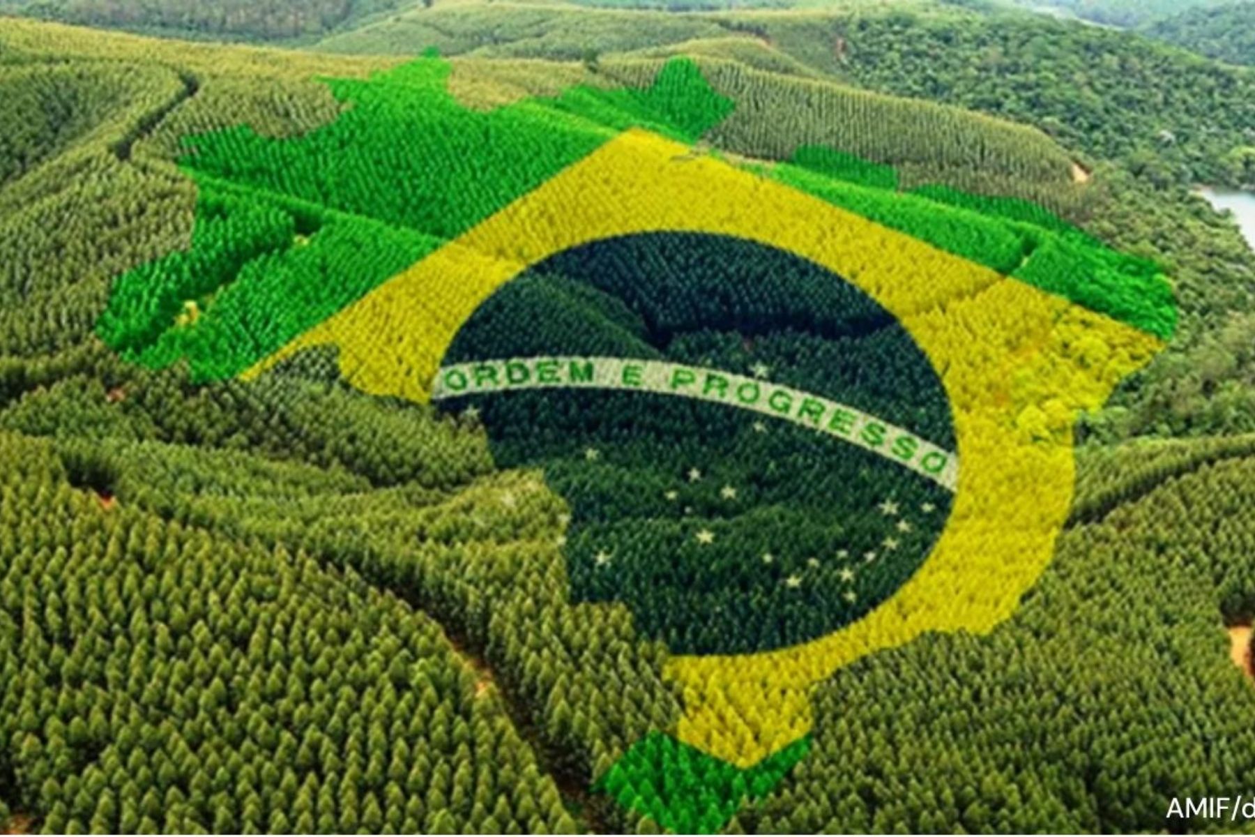 Presidente da Embrapa sugere planos agrícolas longos como na era Paolinelli