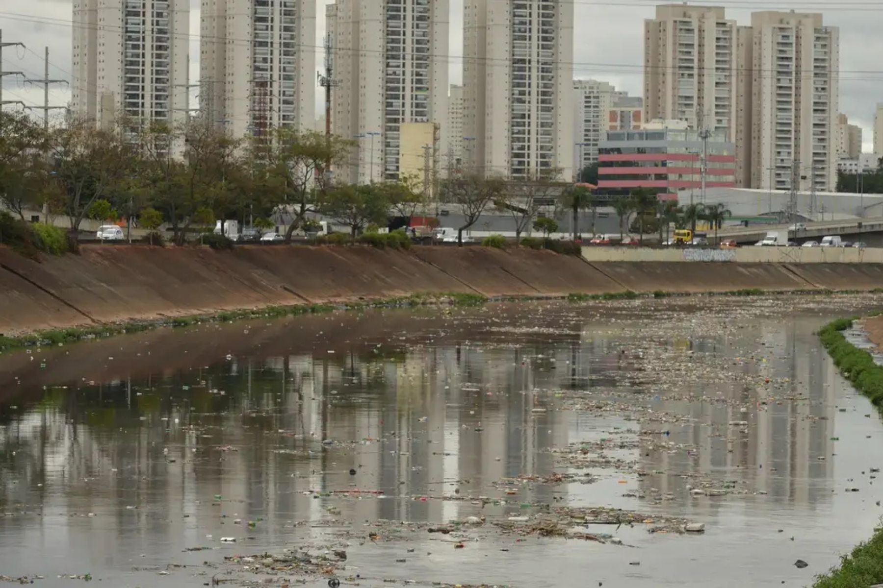 Poluição no Rio Tietê, em São Paulo, atinge 100%, aponta SOS Mata Atlântica